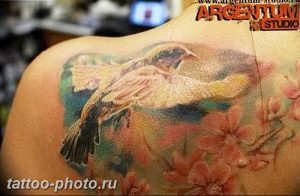 рисунка тату воробей 03.12.2018 №120 - photo tattoo sparrow - tattoo-photo.ru